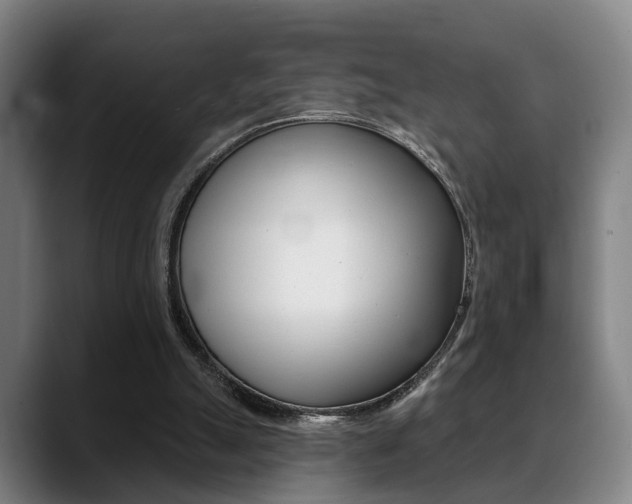 X0000089420055200706151011