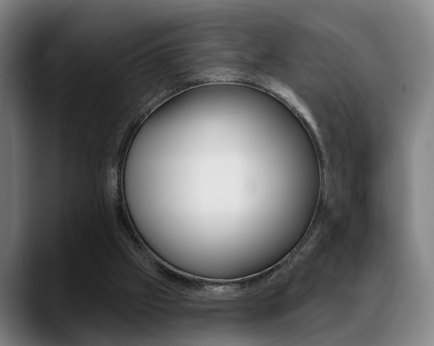 X0000089420057200706151011