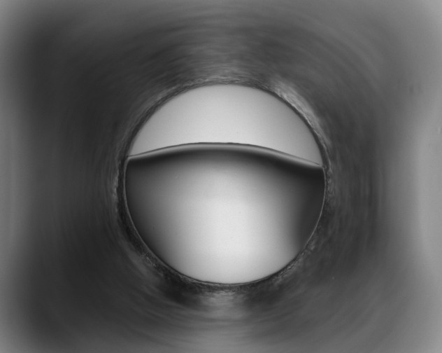 X0000089420058200706151011