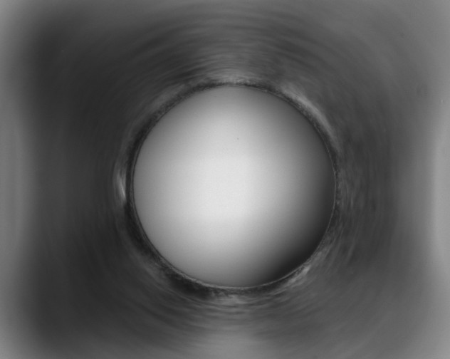 X0000089420062200706151011
