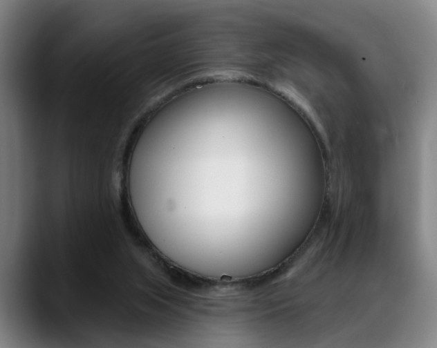 X0000089420063200706151011