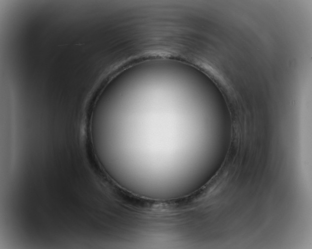 X0000089420064200706151011