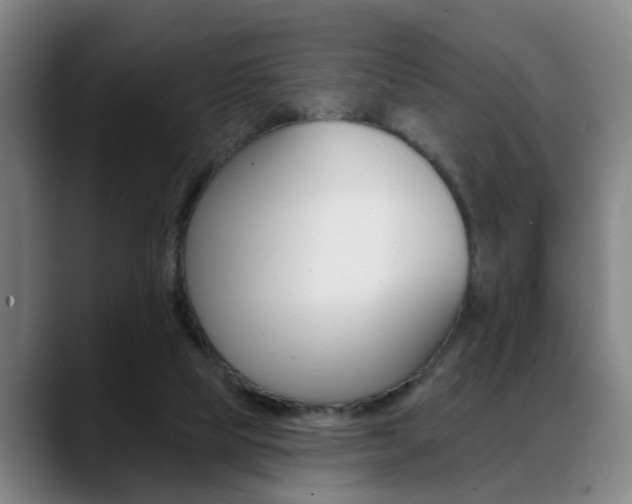 X0000089420065200706151011
