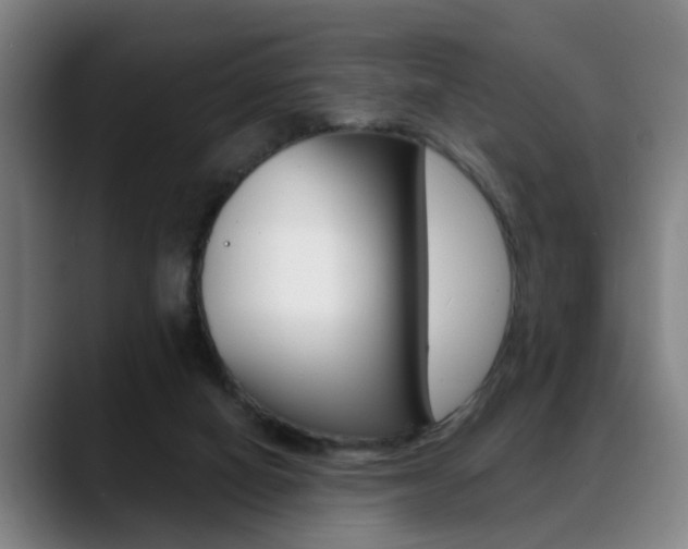 X0000089420066200706151011