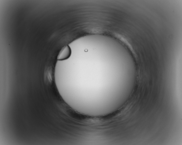 X0000089420069200706151011