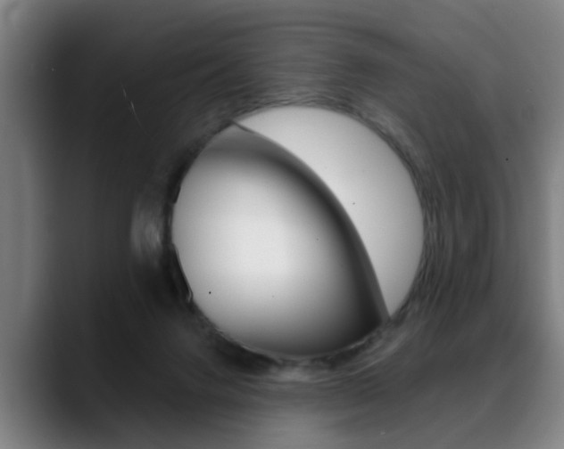 X0000089420072200706151011