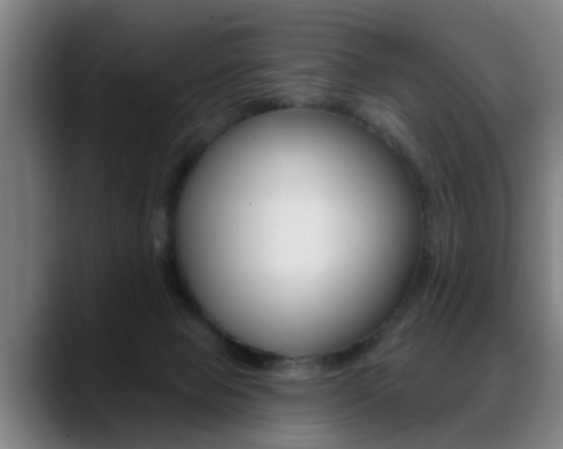 X0000089420077200706151011