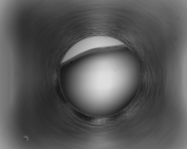 X0000089420084200706151011