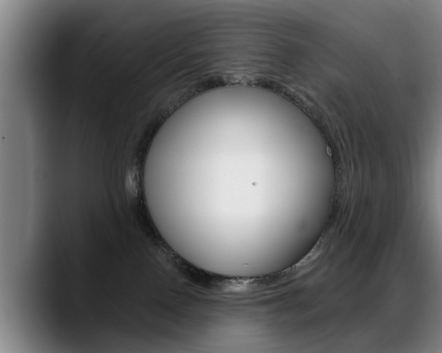 X0000089420090200706151011