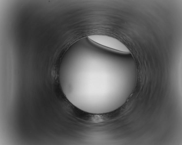 X0000089420091200706151011