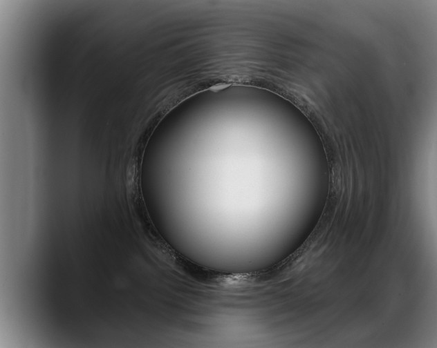 X0000089420092200706151011