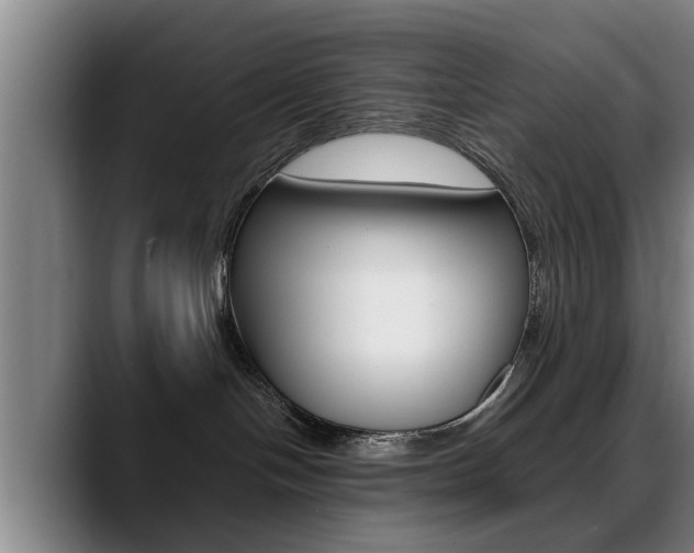 X0000089420094200706151011