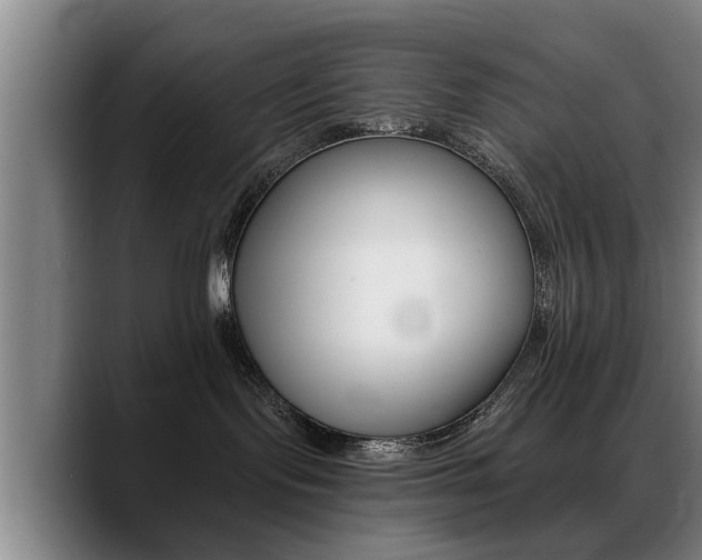 X0000089420095200706151011