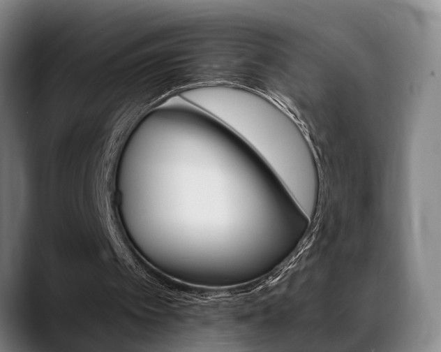 X0000089420097200706151011