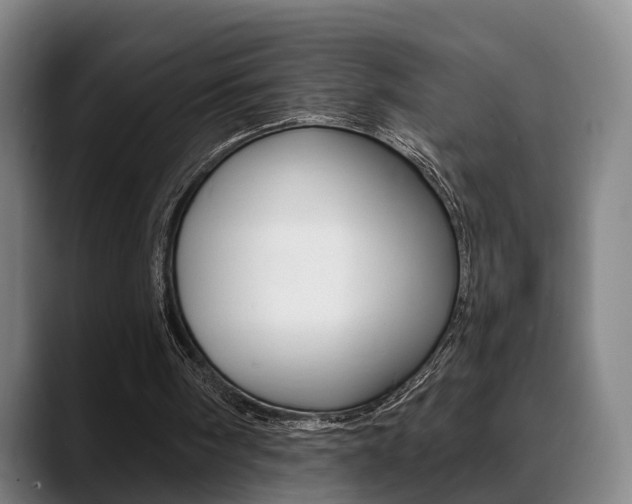 X0000089420098200706151011