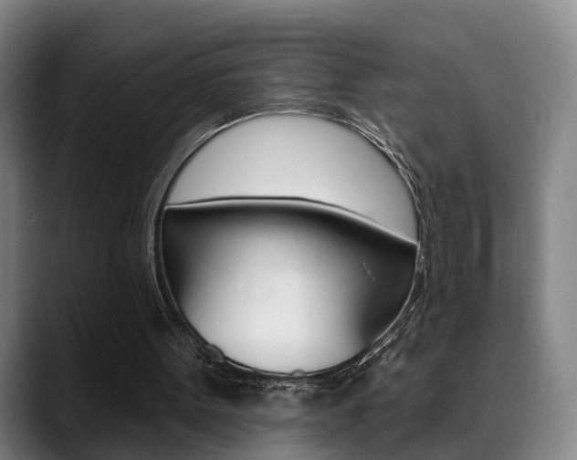 X0000089420099200706151011