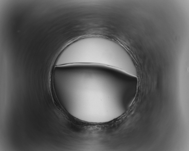 X0000089420100200706151011