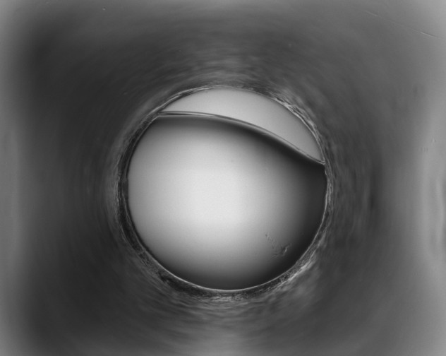X0000089420101200706151011