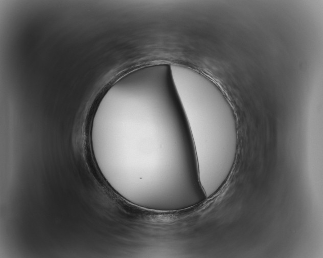 X0000089420102200706151011