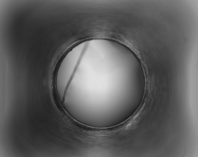 X0000089420103200706151011