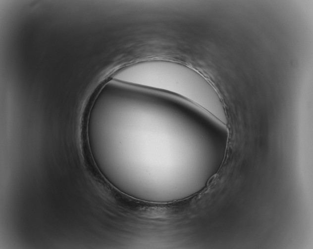 X0000089420104200706151011