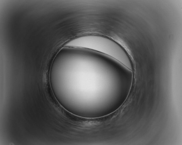 X0000089420105200706151011