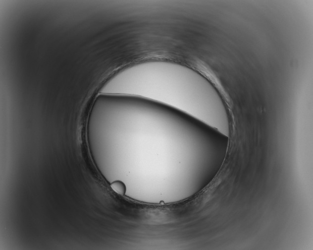 X0000089420106200706151011