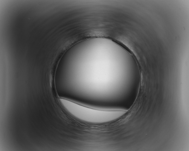X0000089420109200706151011
