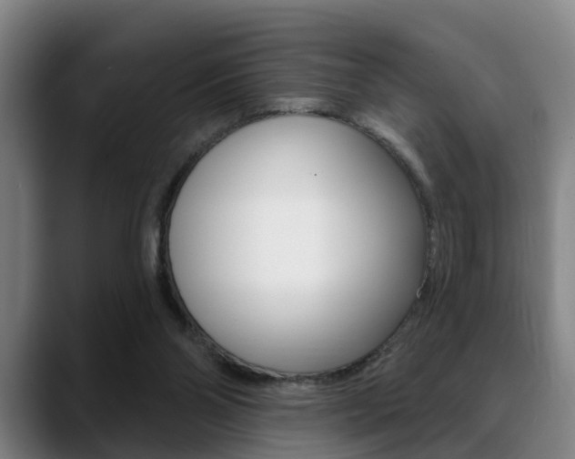 X0000089420110200706151011