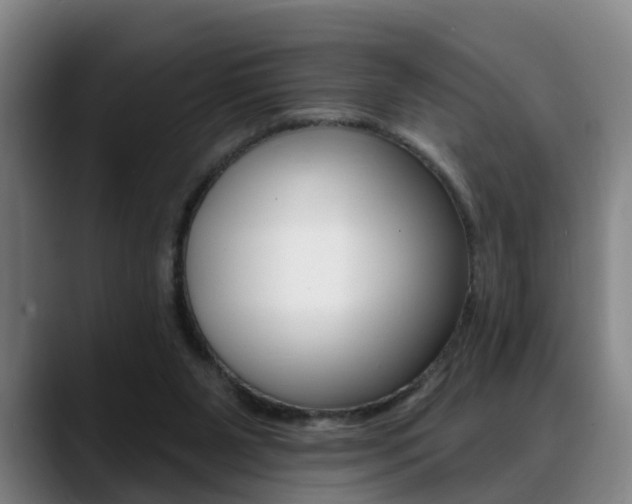 X0000089420111200706151011