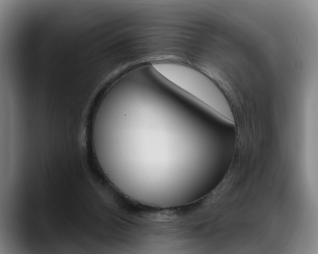 X0000089420112200706151010