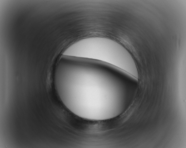 X0000089420116200706151010