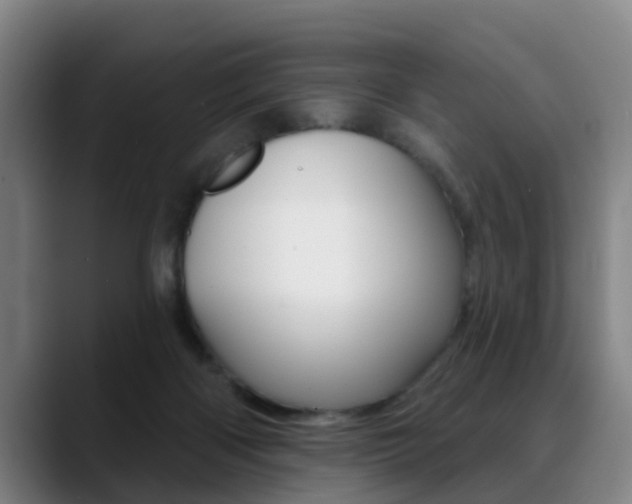 X0000089420122200706151010