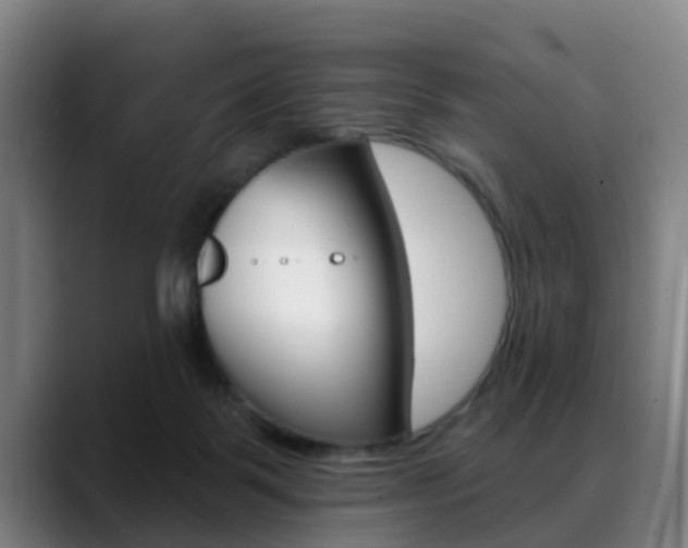 X0000089420123200706151010