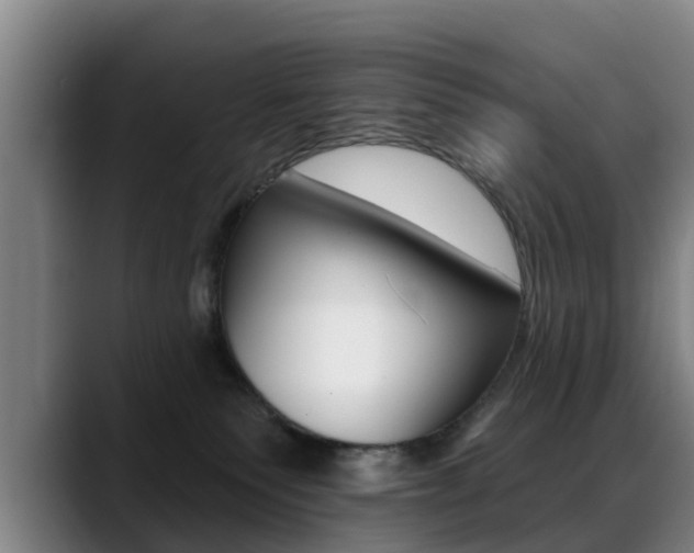 X0000089420135200706151010