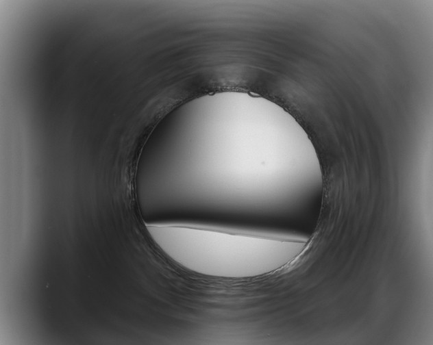 X0000089420140200706151010