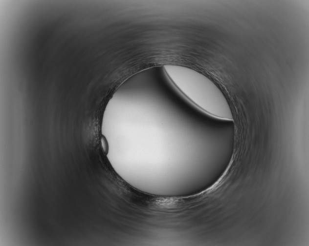 X0000089420144200706151010
