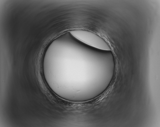 X0000089420145200706151009