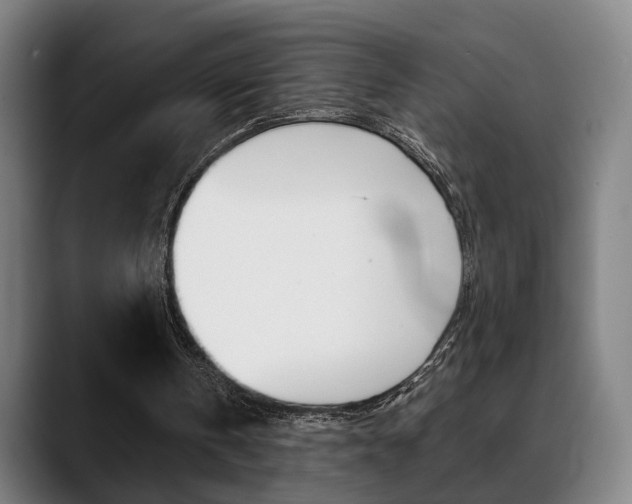 X0000089420146200706151010