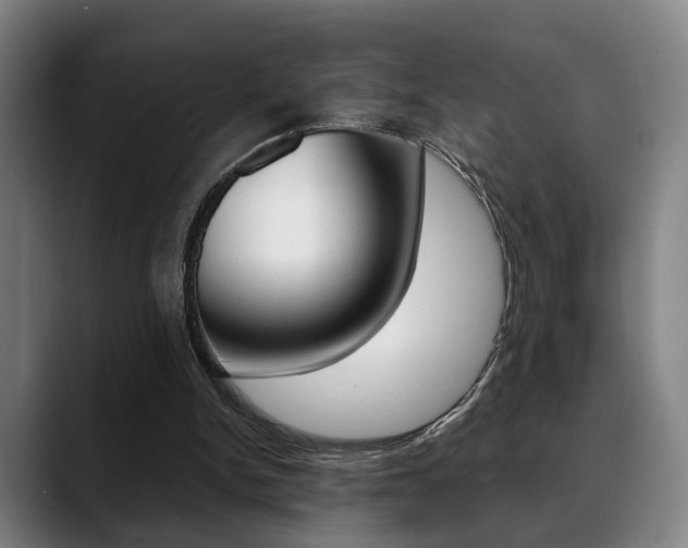 X0000089420150200706151010