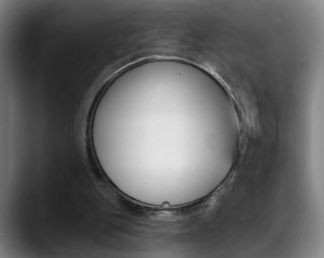 X0000089420151200706151010