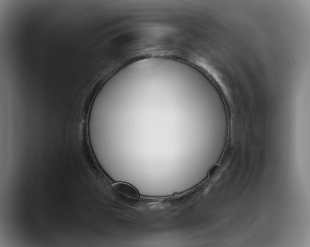 X0000089420153200706151010