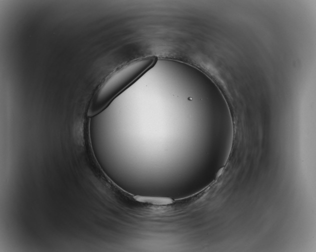 X0000089420154200706151010