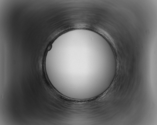 X0000089420155200706151010
