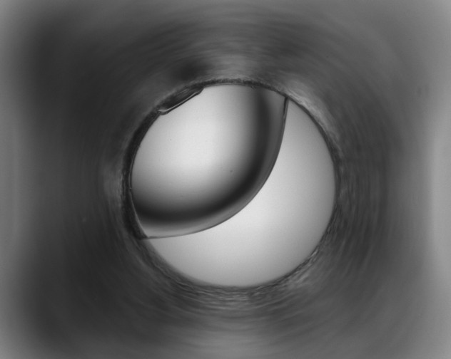 X0000089420156200706151010