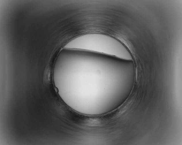 X0000089420157200706151010