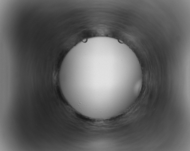 X0000089420177200706151010