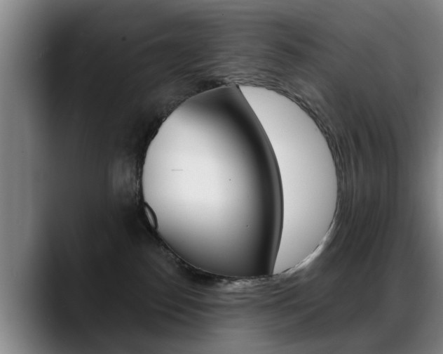 X0000089420186200706151010