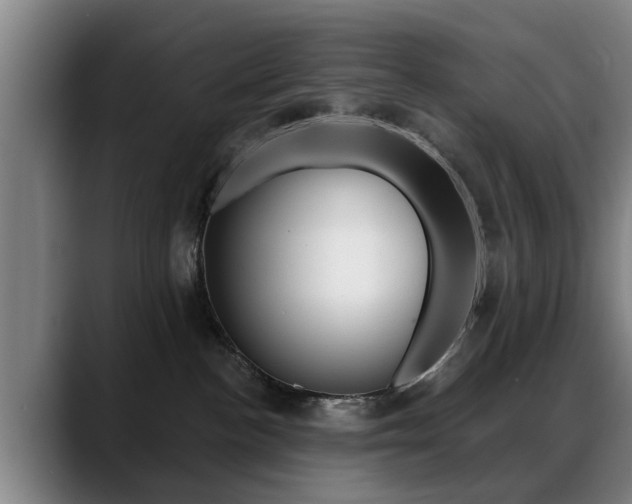 X0000089420188200706151010