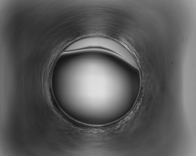 X0000089420193200706151009